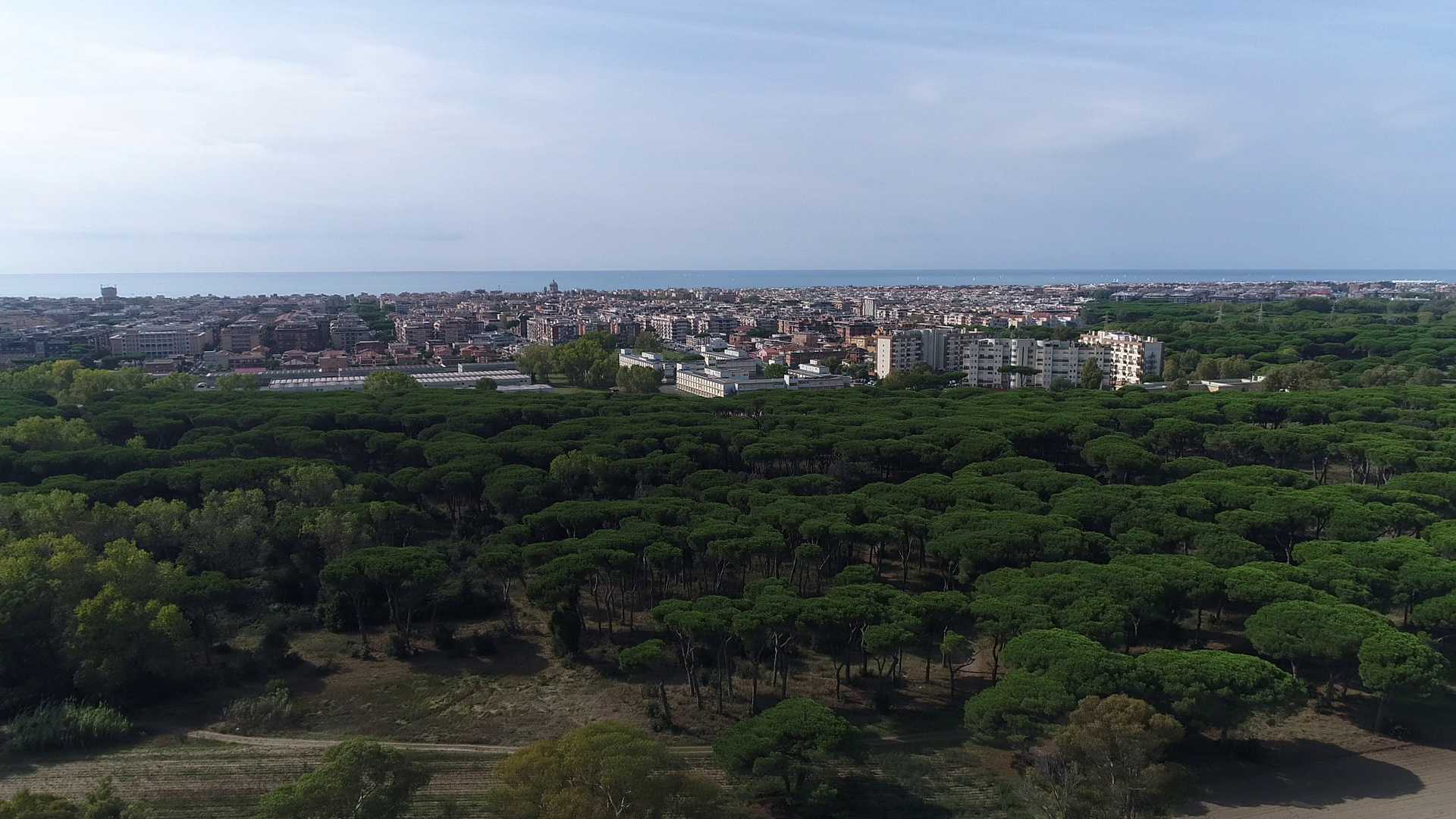 La tenuta di Procoio vista dal drone: tanta natura da difendere